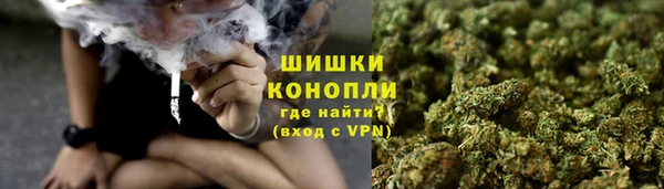 MESCALINE Осинники